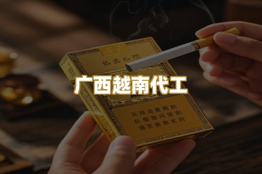 广西越南代工